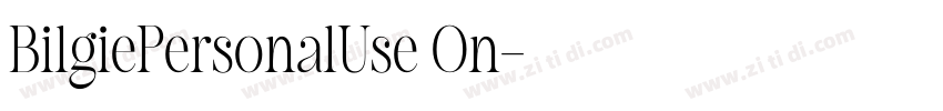 BilgiePersonalUse On字体转换